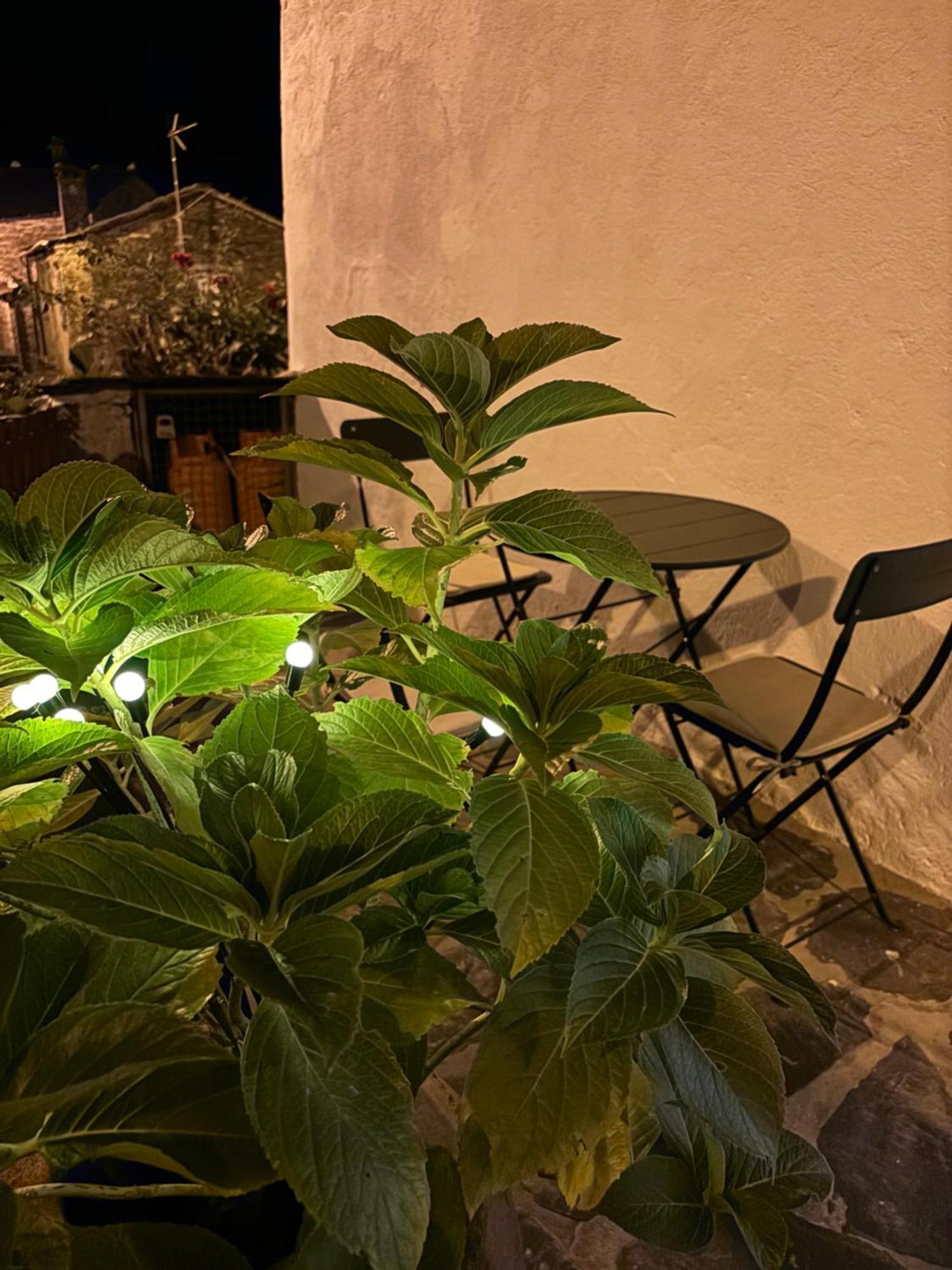 Encanto De Xisto Piodao Exterior photo